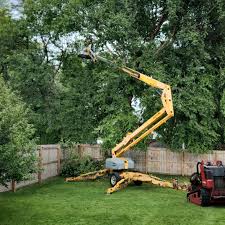 Best Storm Damage Tree Cleanup  in Neuse Forest, NC